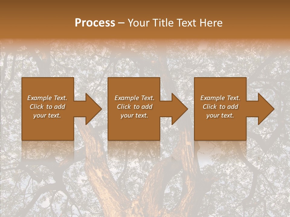 Towering Wood Limb PowerPoint Template