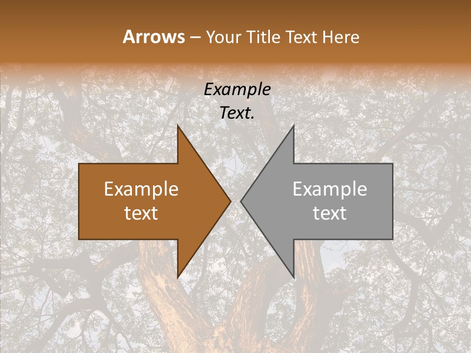 Towering Wood Limb PowerPoint Template