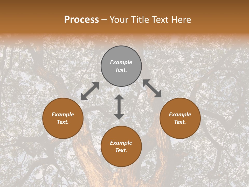 Towering Wood Limb PowerPoint Template