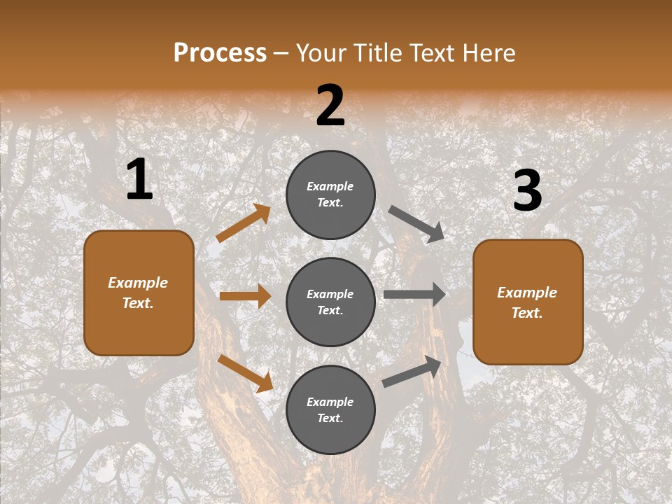 Towering Wood Limb PowerPoint Template