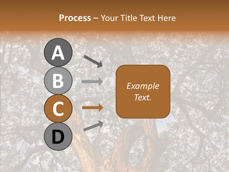 Towering Wood Limb PowerPoint Template