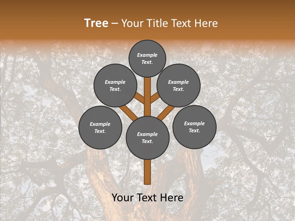 Towering Wood Limb PowerPoint Template