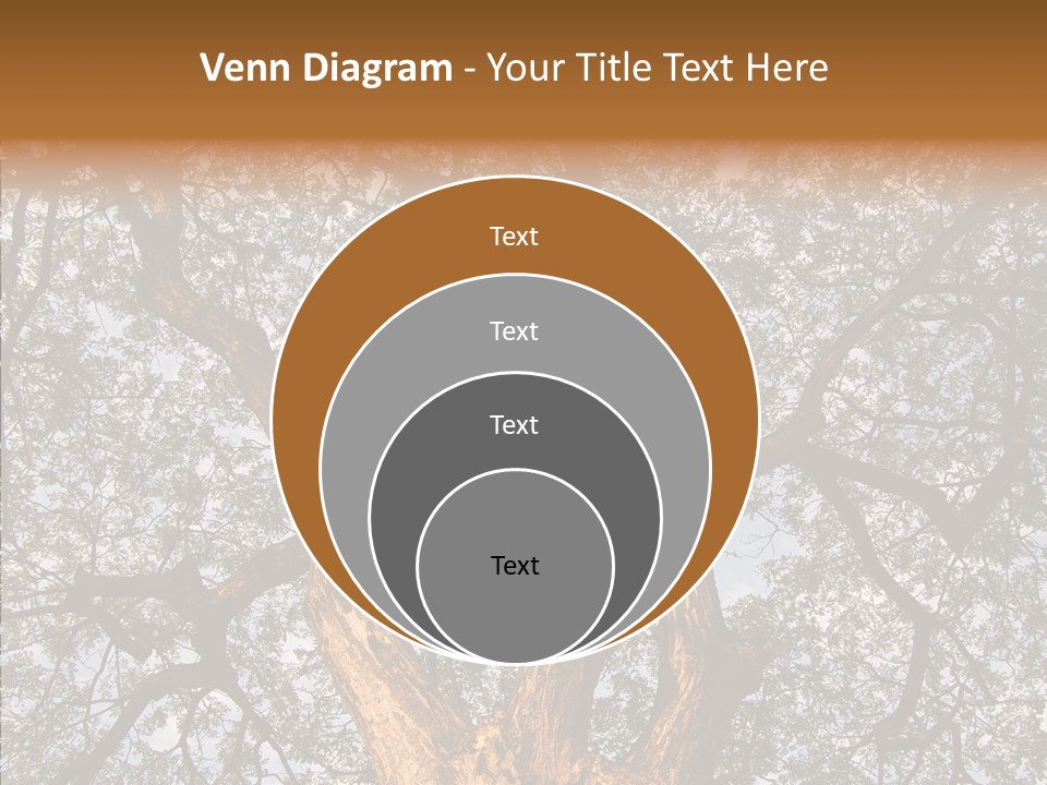 Towering Wood Limb PowerPoint Template