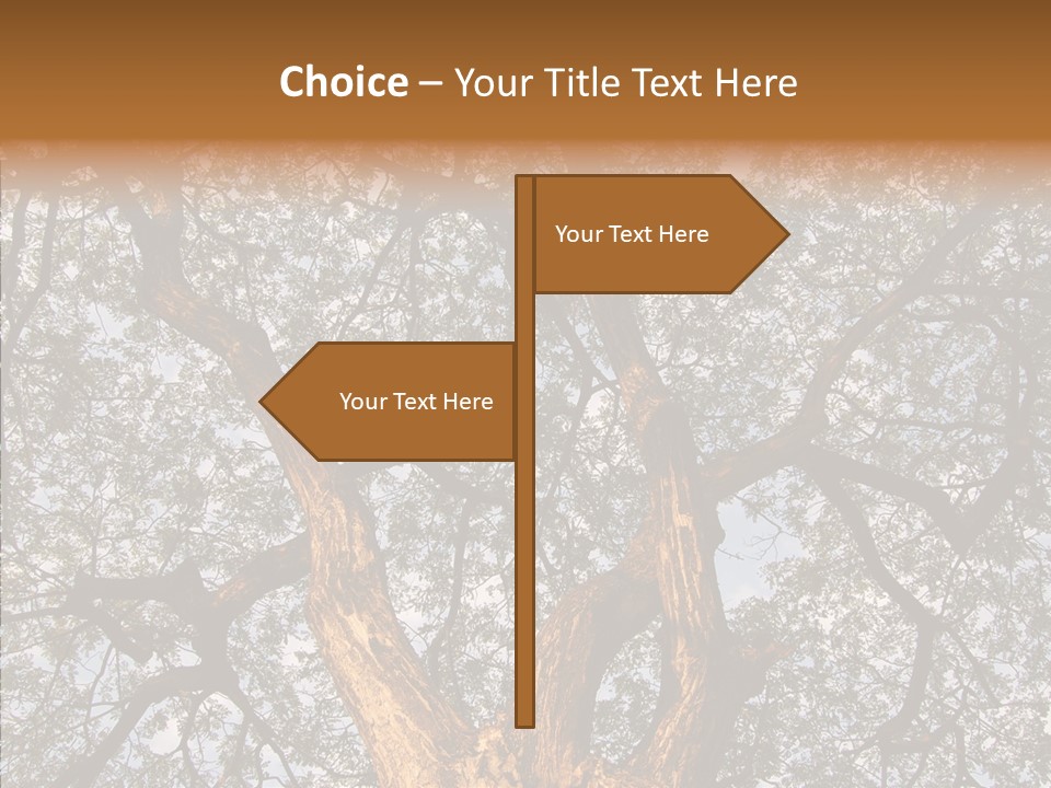 Towering Wood Limb PowerPoint Template