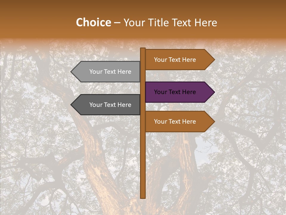 Towering Wood Limb PowerPoint Template