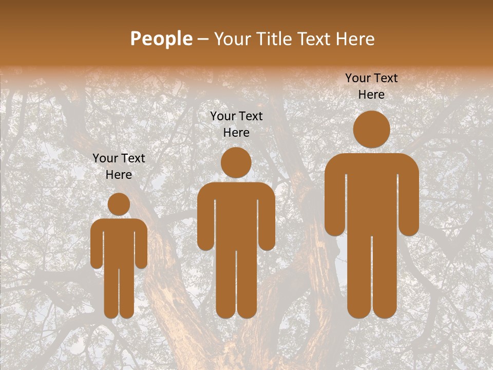 Towering Wood Limb PowerPoint Template