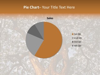 Per On Trategy Together PowerPoint Template