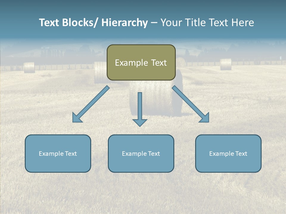 Zealand Exterior Ranch PowerPoint Template