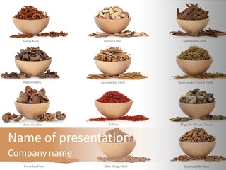 Medicinal Nature Stem PowerPoint Template