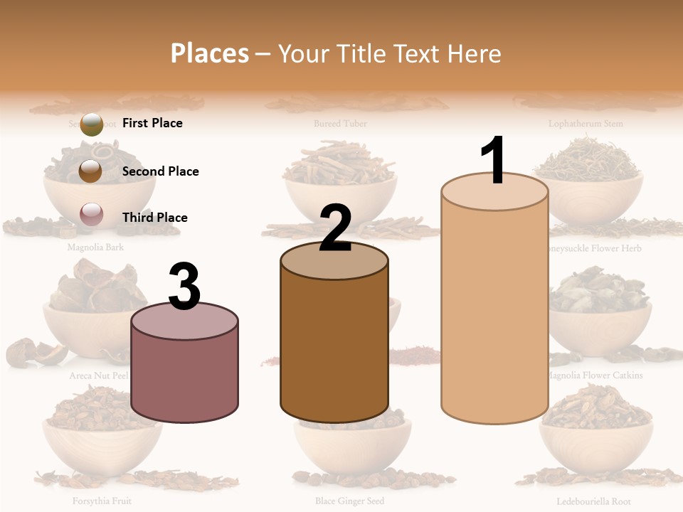 Medicinal Nature Stem PowerPoint Template
