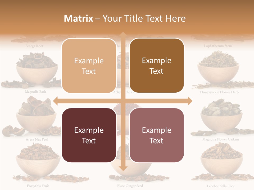 Medicinal Nature Stem PowerPoint Template