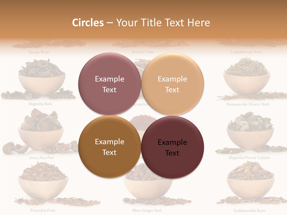 Medicinal Nature Stem PowerPoint Template