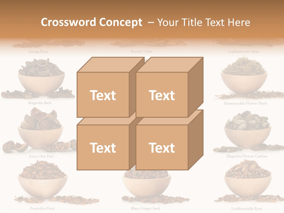 Medicinal Nature Stem PowerPoint Template