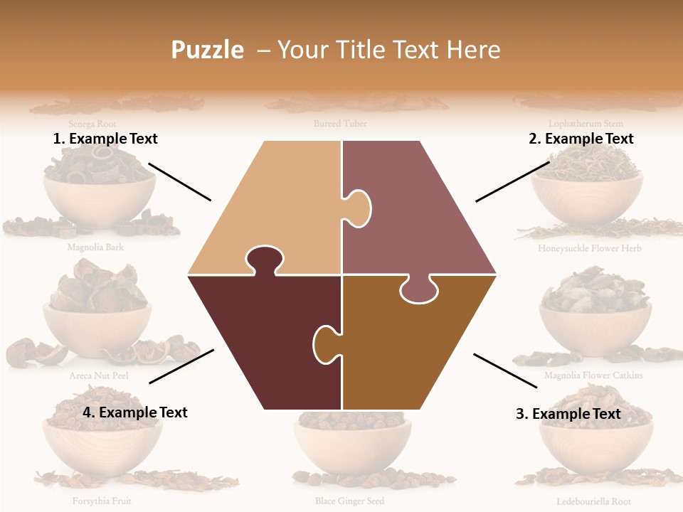 Medicinal Nature Stem PowerPoint Template