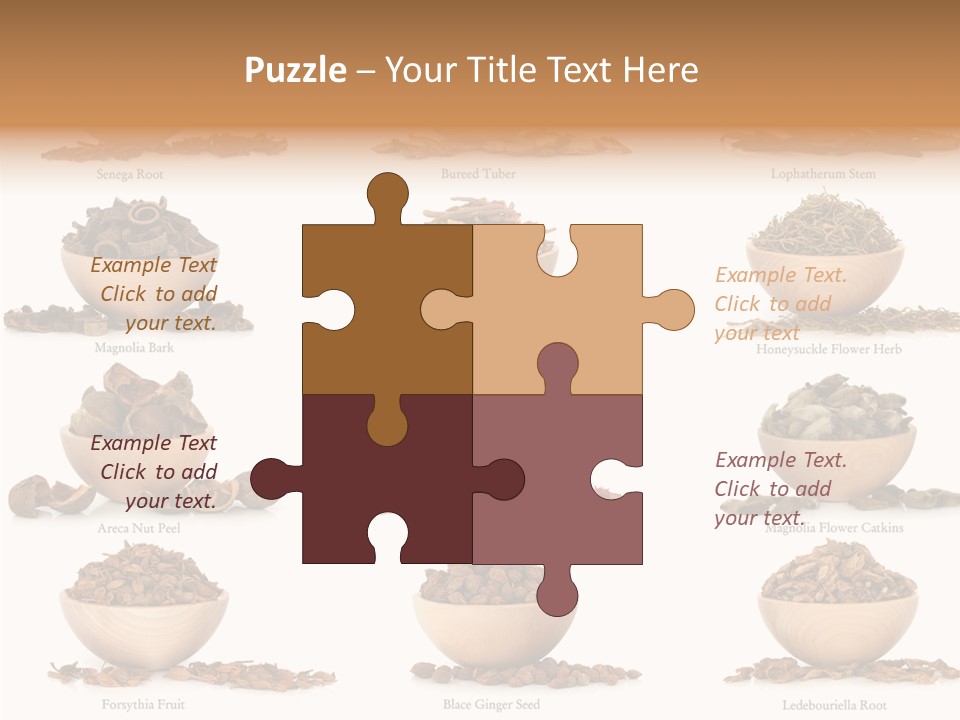 Medicinal Nature Stem PowerPoint Template