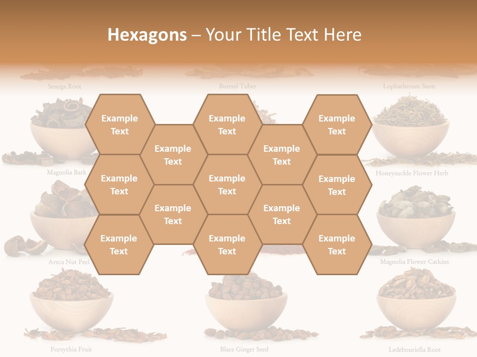 Medicinal Nature Stem PowerPoint Template