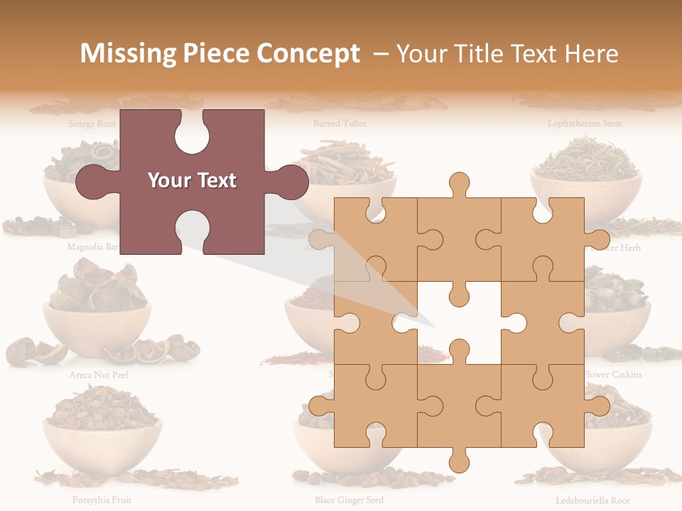 Medicinal Nature Stem PowerPoint Template