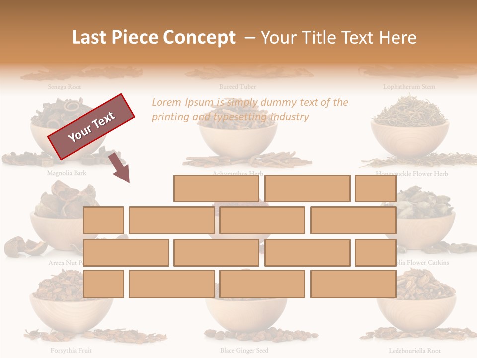 Medicinal Nature Stem PowerPoint Template