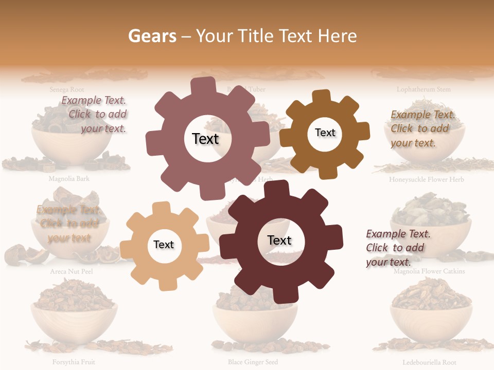 Medicinal Nature Stem PowerPoint Template