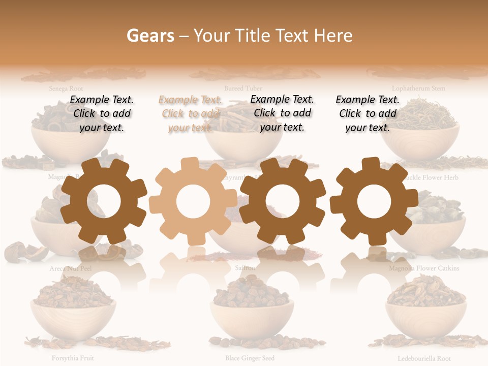 Medicinal Nature Stem PowerPoint Template