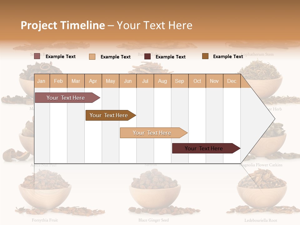 Medicinal Nature Stem PowerPoint Template