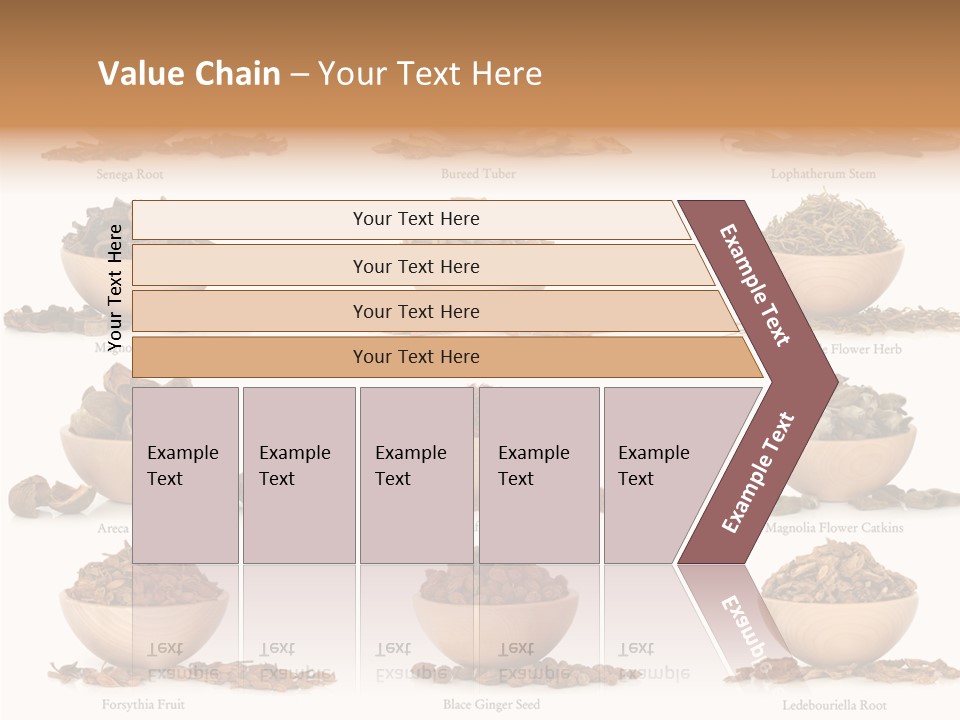 Medicinal Nature Stem PowerPoint Template