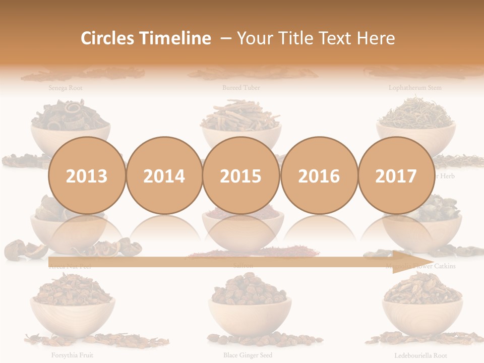 Medicinal Nature Stem PowerPoint Template