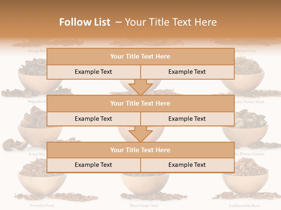 Medicinal Nature Stem PowerPoint Template