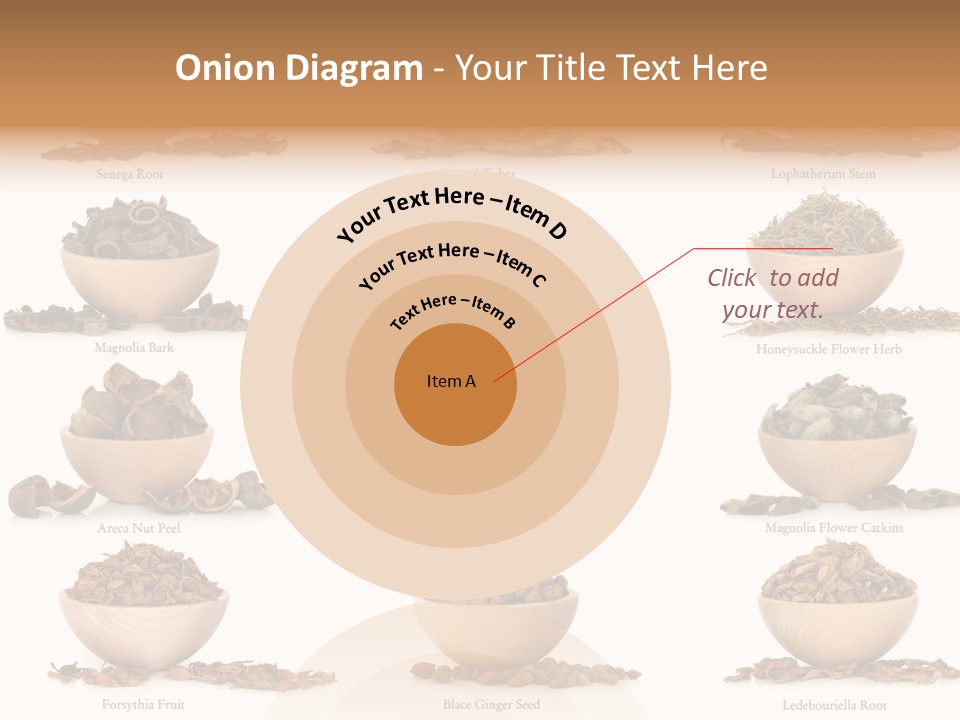 Medicinal Nature Stem PowerPoint Template
