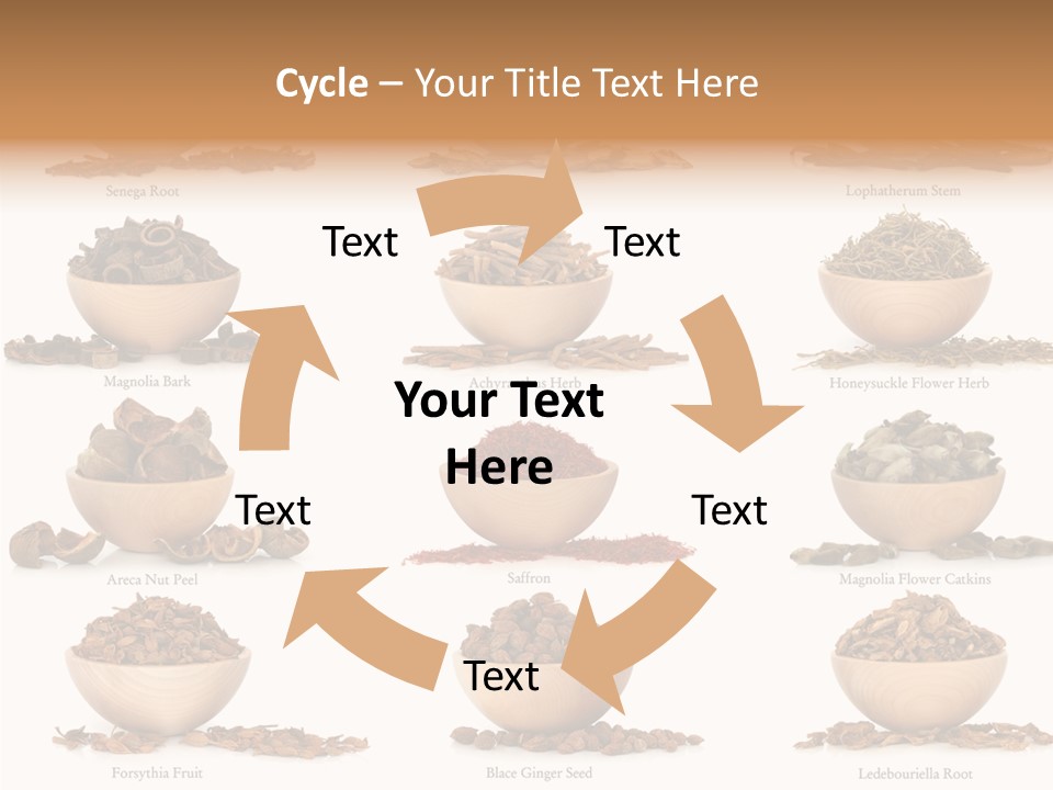 Medicinal Nature Stem PowerPoint Template