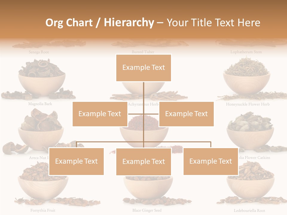 Medicinal Nature Stem PowerPoint Template