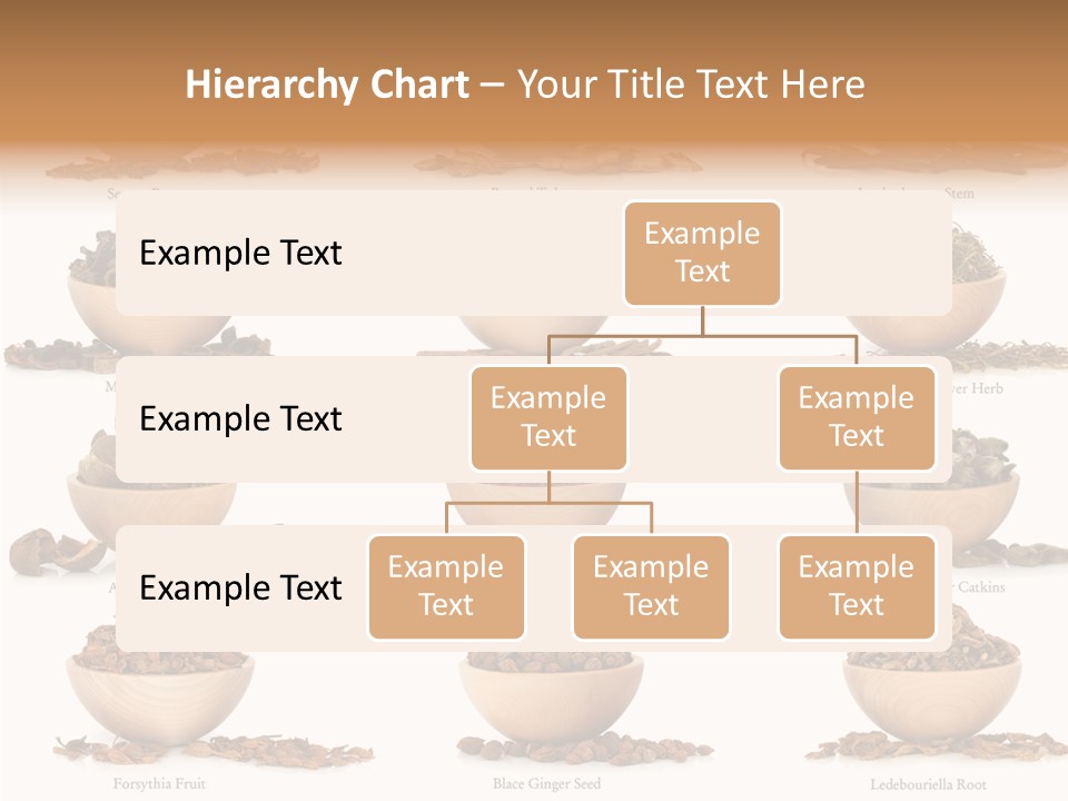 Medicinal Nature Stem PowerPoint Template