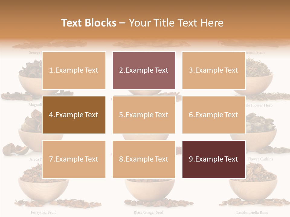 Medicinal Nature Stem PowerPoint Template