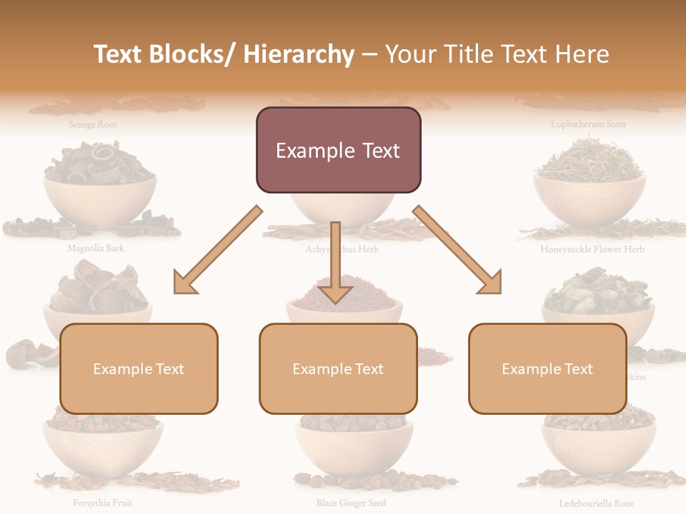 Medicinal Nature Stem PowerPoint Template