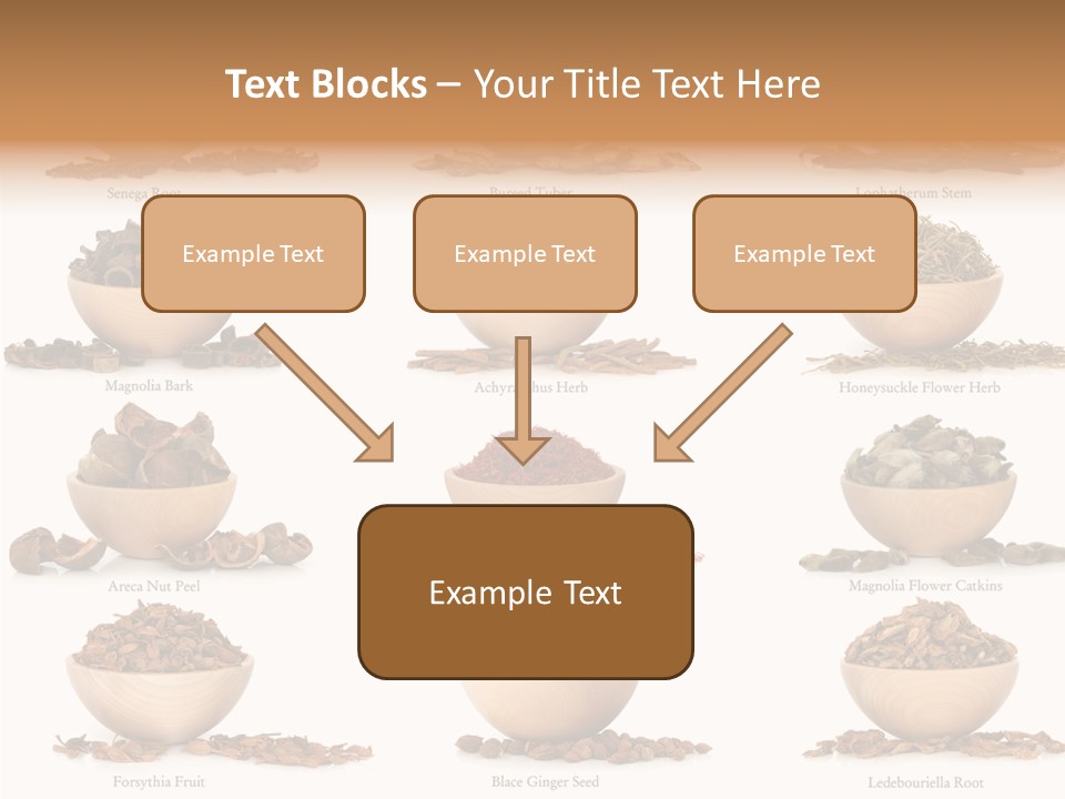 Medicinal Nature Stem PowerPoint Template