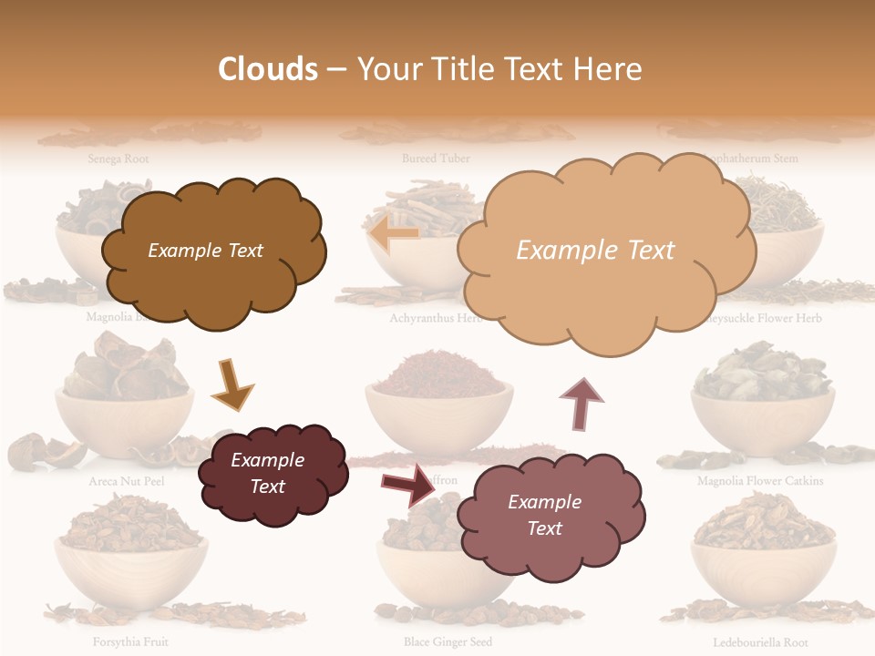 Medicinal Nature Stem PowerPoint Template