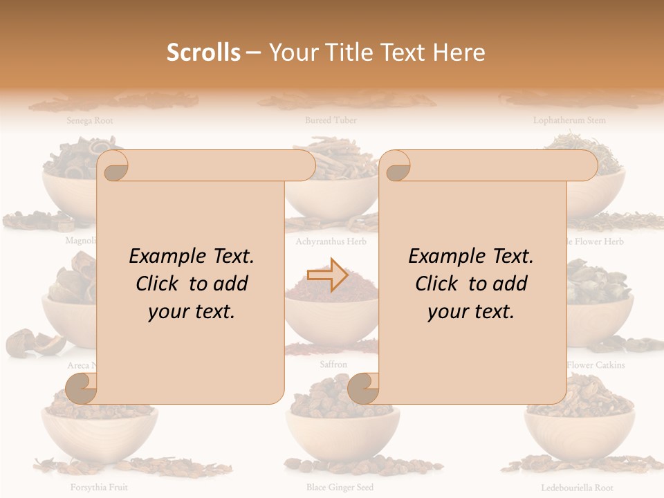 Medicinal Nature Stem PowerPoint Template