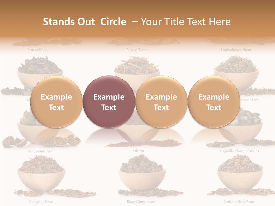 Medicinal Nature Stem PowerPoint Template