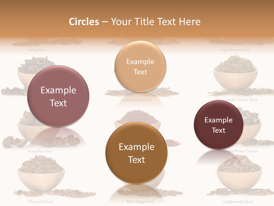 Medicinal Nature Stem PowerPoint Template