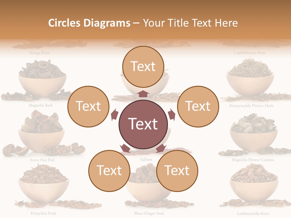 Medicinal Nature Stem PowerPoint Template