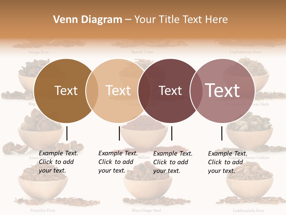 Medicinal Nature Stem PowerPoint Template