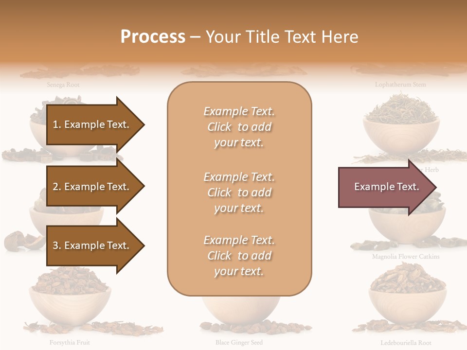 Medicinal Nature Stem PowerPoint Template