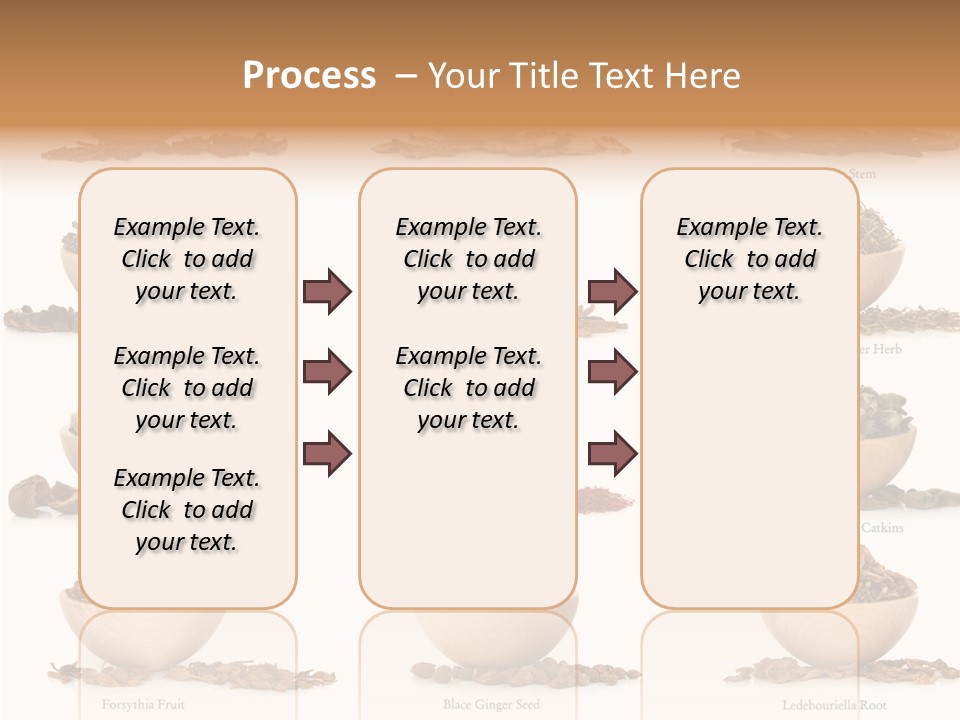 Medicinal Nature Stem PowerPoint Template