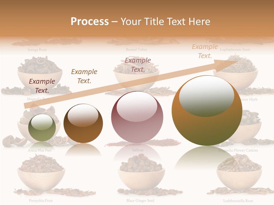 Medicinal Nature Stem PowerPoint Template
