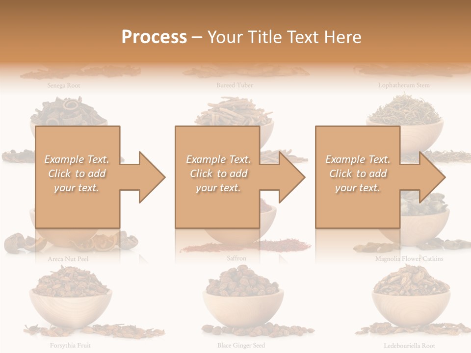 Medicinal Nature Stem PowerPoint Template