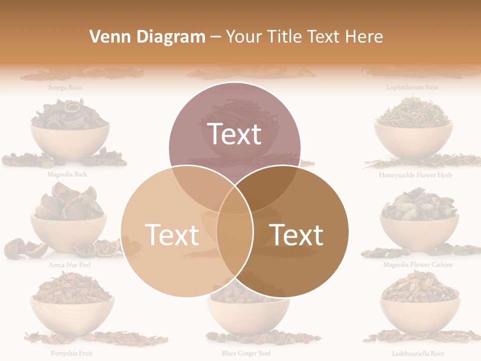 Medicinal Nature Stem PowerPoint Template
