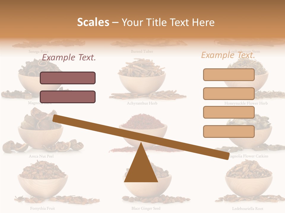 Medicinal Nature Stem PowerPoint Template