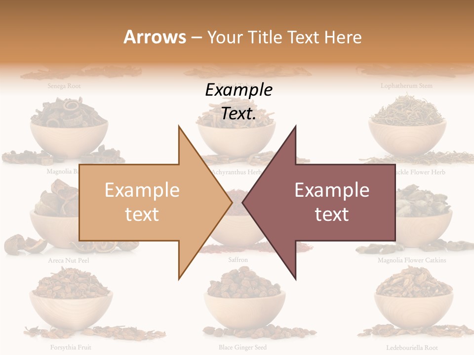 Medicinal Nature Stem PowerPoint Template