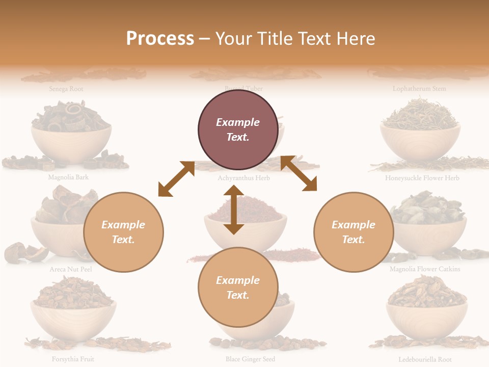 Medicinal Nature Stem PowerPoint Template