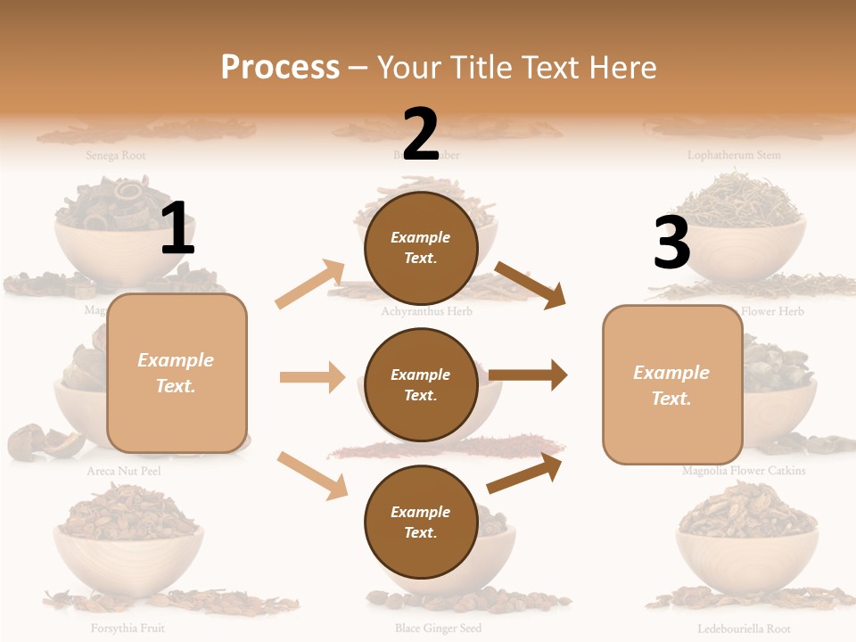 Medicinal Nature Stem PowerPoint Template